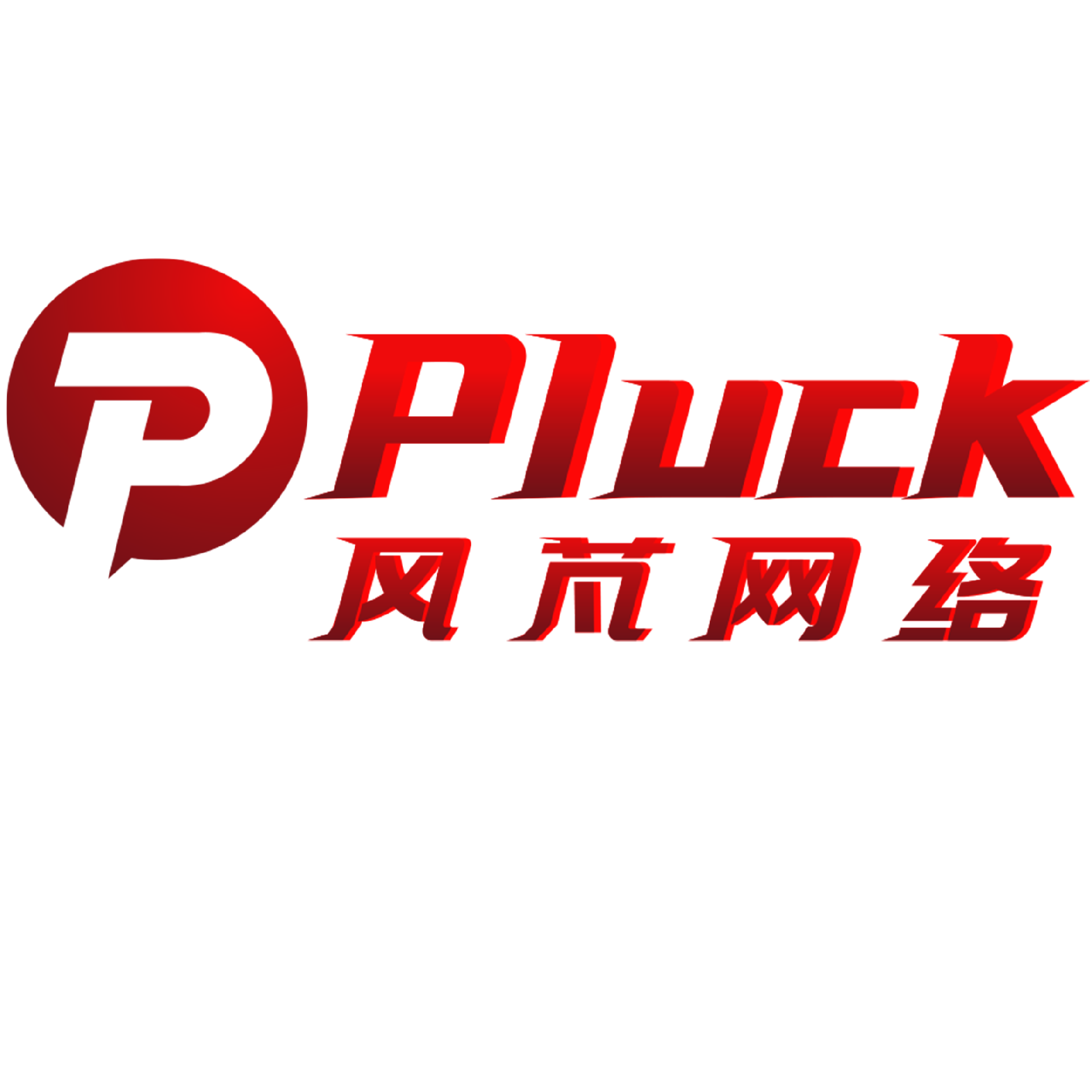 pluck 聚智优创 Facebook顶级代理商-Google-TikTok-海外市场营销-助力企业出海